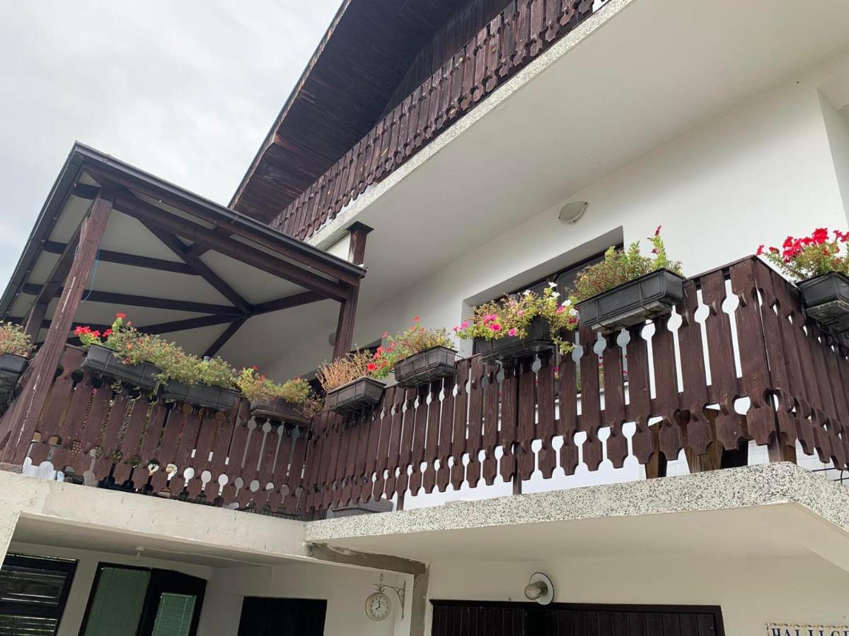 Guest House Husejn Dubrave Gornje 외부 사진